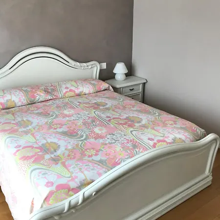 Ricciola * 斯培西亚